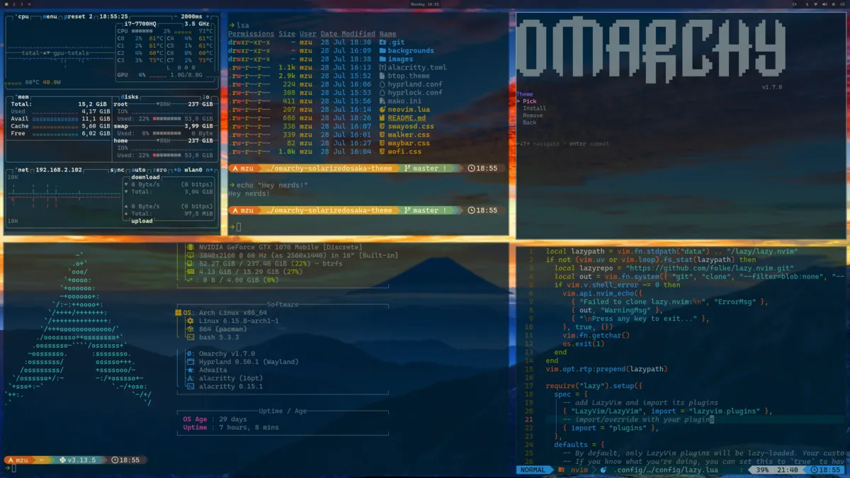 Solarized Osaka theme